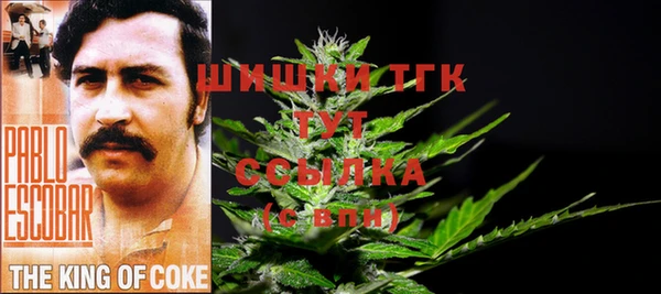 соль ск Горняк