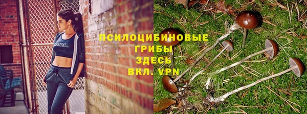 соль ск Горняк