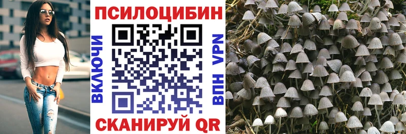 Псилоцибиновые грибы Magic Shrooms  Купить закладки  Боровичи 